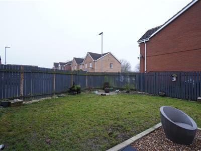 Picture 11
